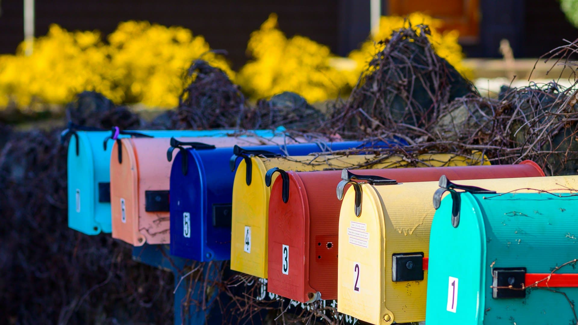 One Researcher, Many Inboxes